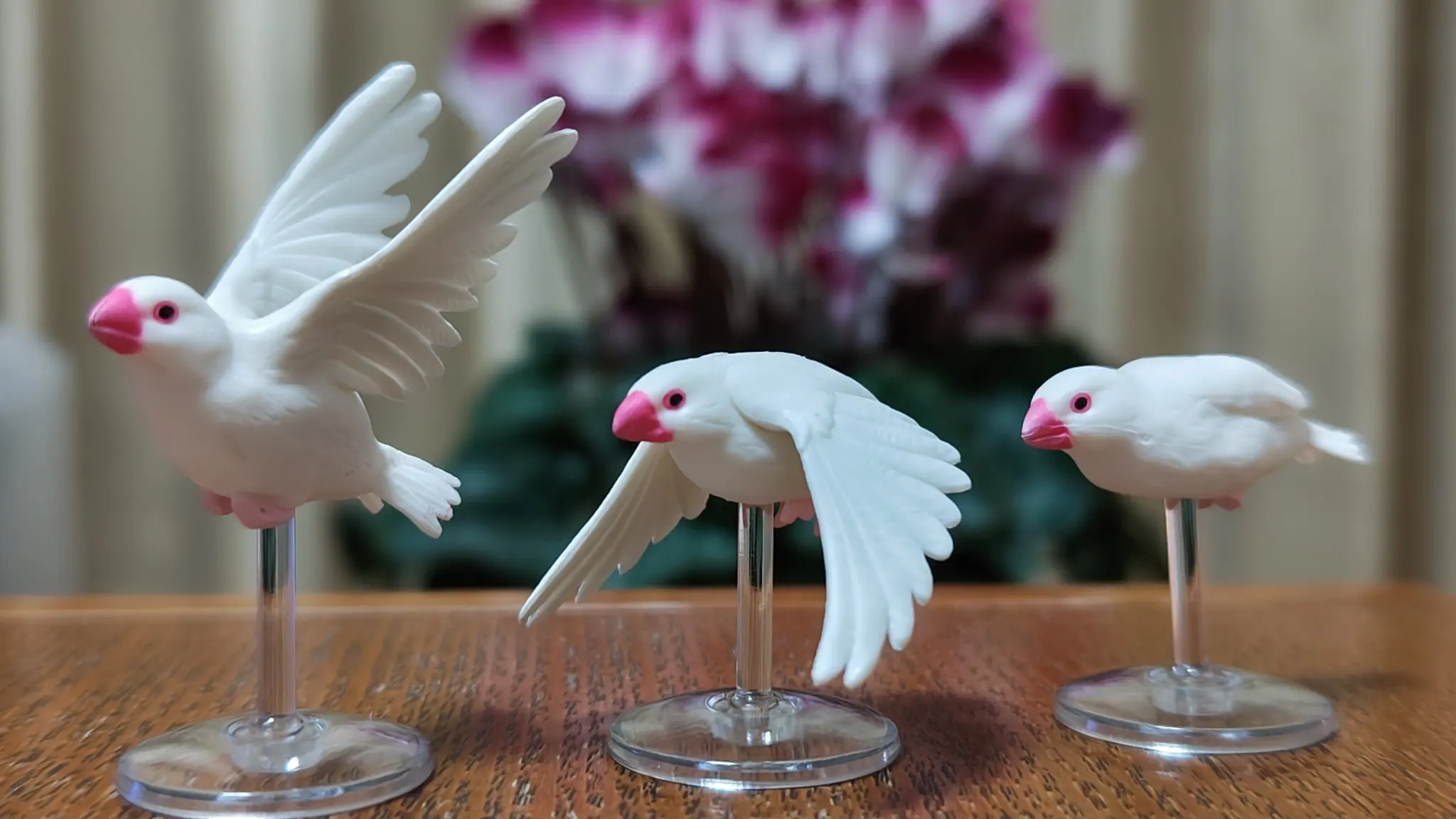 ألعاب كبسولة تارلين مع سلسلة ك - مراجعة Capsule Toy Gashapon وسعره
